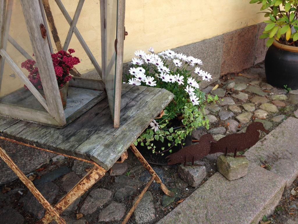 Birkende Bed And Breakfast Langeskov Exterior photo